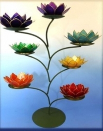 Chakra