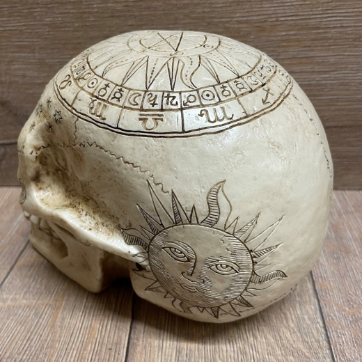 Statue - Schädel/ Totenschädel Astrologie/ Sternzeichen