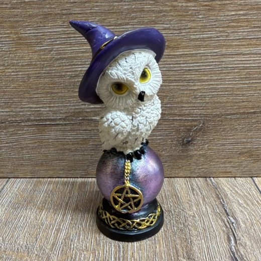Figur - Lustige Eulen - Hexen-Schnee-Eule auf Pentagramm Kugel 2-fach sortiert - einzeln - coloriert