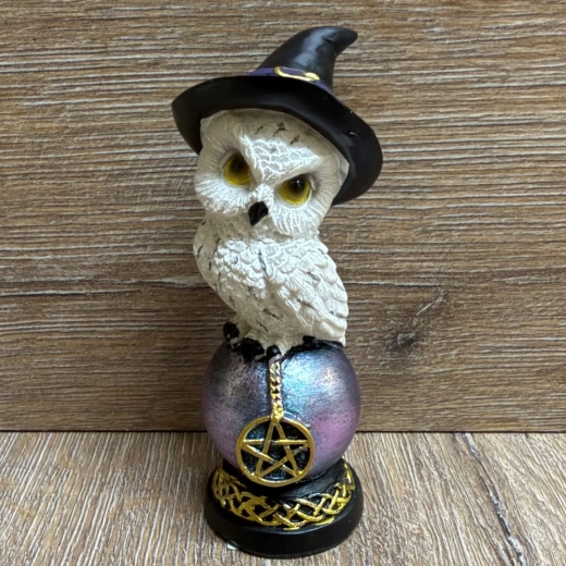 Figur - Lustige Eulen - Hexen-Schnee-Eule auf Pentagramm Kugel 2-fach sortiert - einzeln - coloriert
