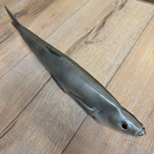 LARP - Props - Lebensmittel - Harry Hering - Lagerdekoration, Theater, Karneval, Fasching