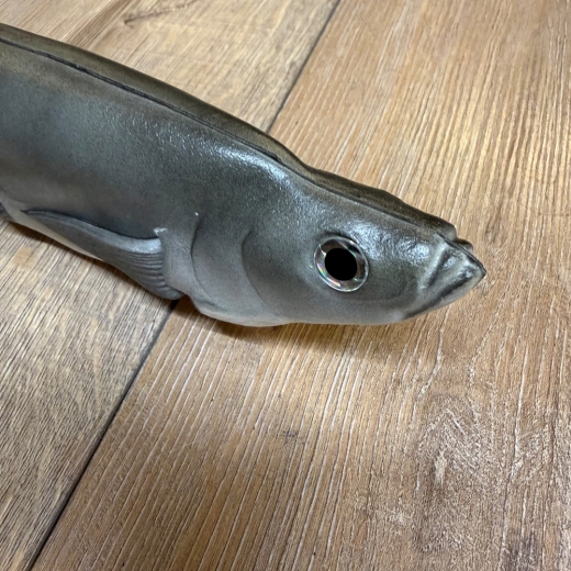 LARP - Props - Lebensmittel - Harry Hering - Lagerdekoration, Theater, Karneval, Fasching