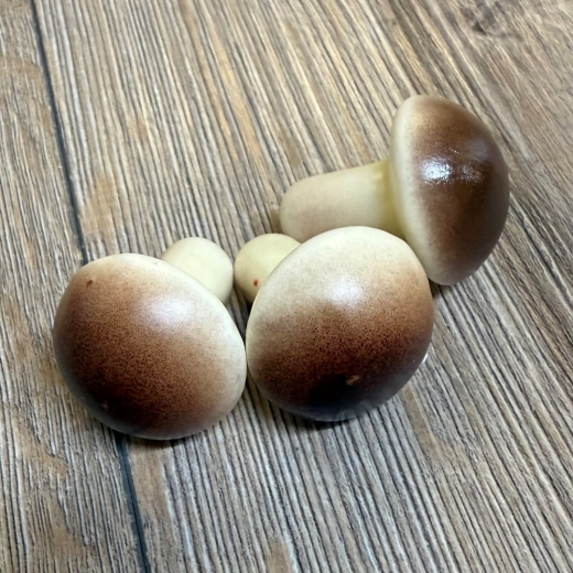 LARP - Props - Lebensmittel - Paula Pilz braun - Lagerdekoration, Theater, Karneval, Fasching