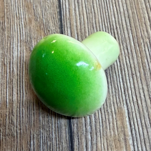 LARP - Props - Lebensmittel - Paula Pilz grün - Lagerdekoration, Theater, Karneval, Fasching