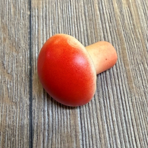 LARP - Props - Lebensmittel - Paula Pilz rot - Lagerdekoration, Theater, Karneval, Fasching