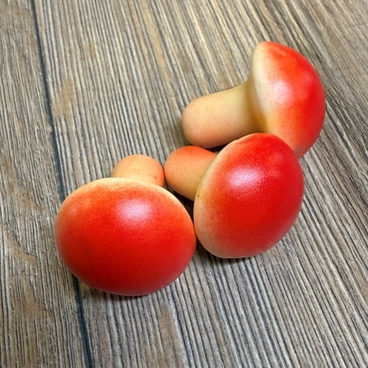 LARP - Props - Lebensmittel - Paula Pilz rot - Lagerdekoration, Theater, Karneval, Fasching