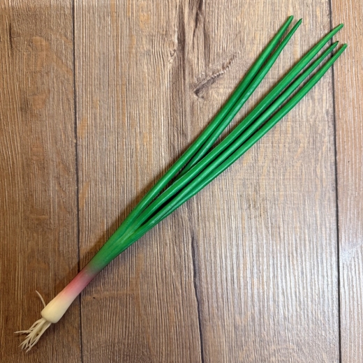 LARP - Props - Lebensmittel - Susi Schnittlauch - Lagerdekoration, Theater, Karneval, Fasching