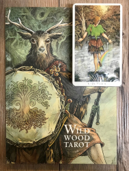 Tarot/ Orakel - Das Wildwood Tarot - M.Ryan, J. Matthews, W. Worthington