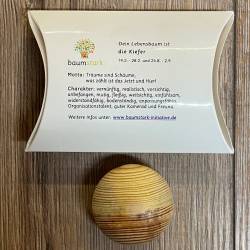 Handschmeichler - Baumkalender - Kiefer in Geschenkverpackung
