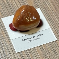 Edelstein - Trommelstein - Carneol / Karneol/ Chalcedon rot - ca. 25-35mm