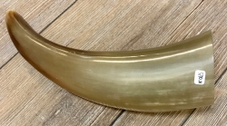 Trinkhorn - aussen poliert, innen lackiert - lebensmittelecht - ca. 0,3l