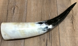 Trinkhorn - aussen poliert, innen lackiert - lebensmittelecht - ca. 1,0l