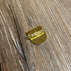 Brosche - Pin - Wappen der Familie Stursberg, Storsberg, Stosberg, Stoßberg/Stossberg und Strasburg mit Broschenverschluss