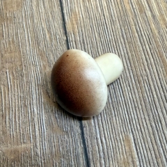 LARP - Props - Lebensmittel - Paula Pilz braun - Lagerdekoration, Theater, Karneval, Fasching