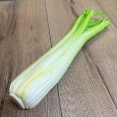 LARP - Props - Lebensmittel - Sigi Sellerie - Lagerdekoration, Theater, Karneval, Fasching