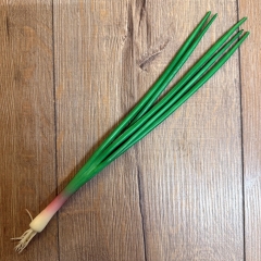 LARP - Props - Lebensmittel - Susi Schnittlauch - Lagerdekoration, Theater, Karneval, Fasching