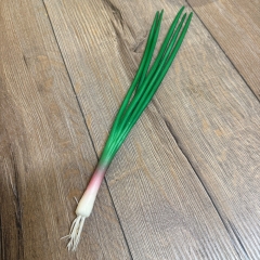 LARP - Props - Lebensmittel - Susi Schnittlauch - Lagerdekoration, Theater, Karneval, Fasching